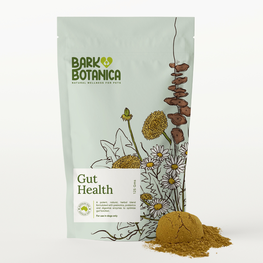 Gut Health