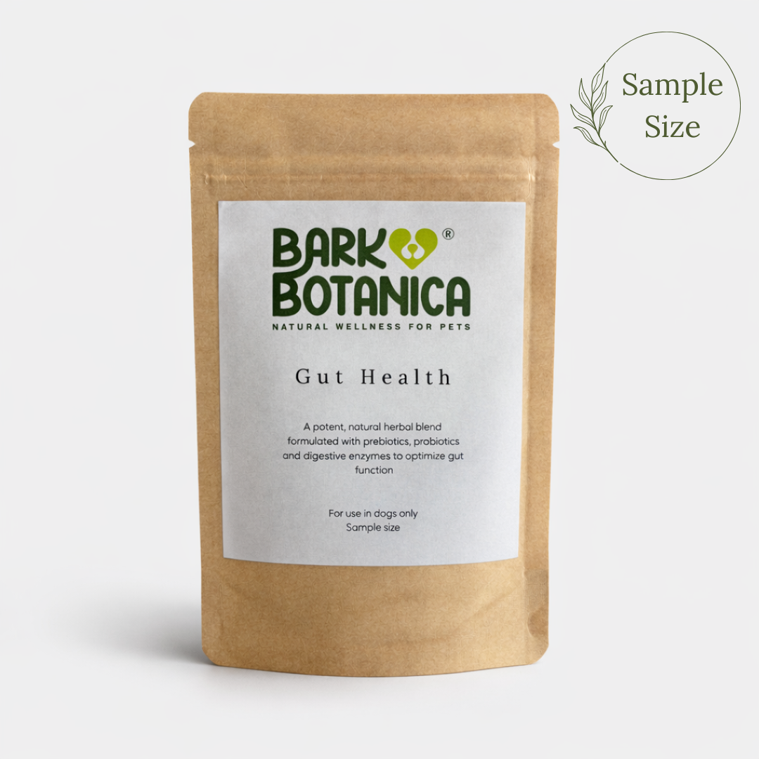 Gut Health