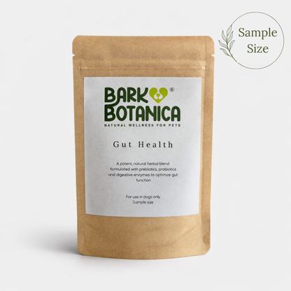 Gut Health